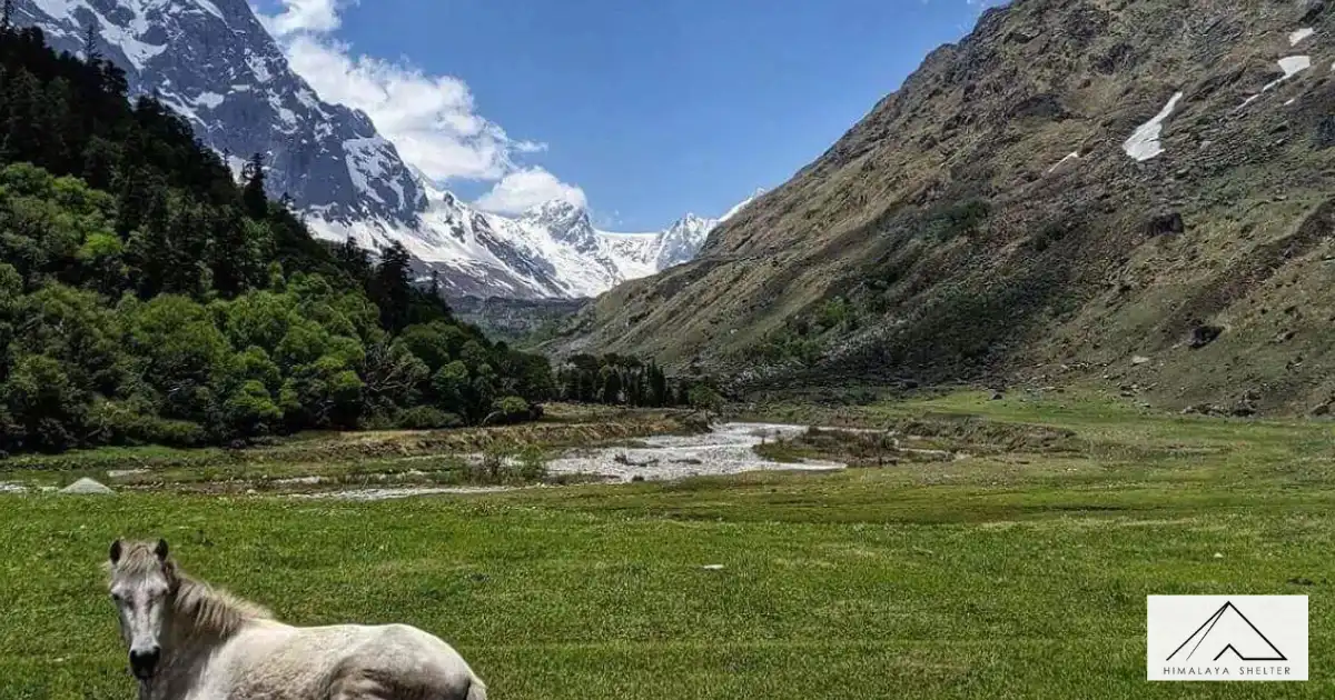 Har Ki Dun Valley In Uttarakhand
