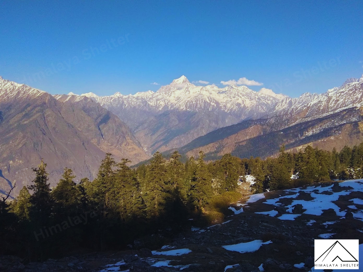 Kuari Pass tree, lush forest