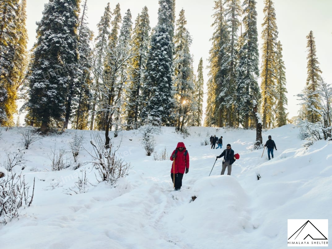 When is the best time to book the Kedarkantha Winter Trek?