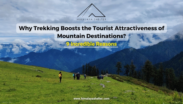 Why Trekking Boosts the Tourist Attractiveness of Mountain Destinations