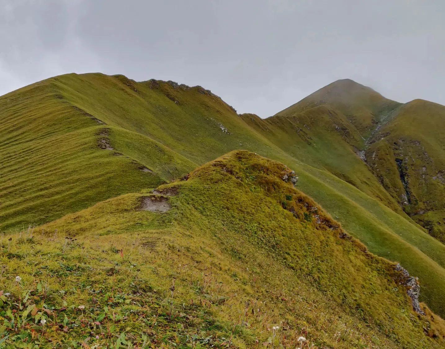 Gidara Bugyal Trek trek in the Himalayas by Himalaya Shelter