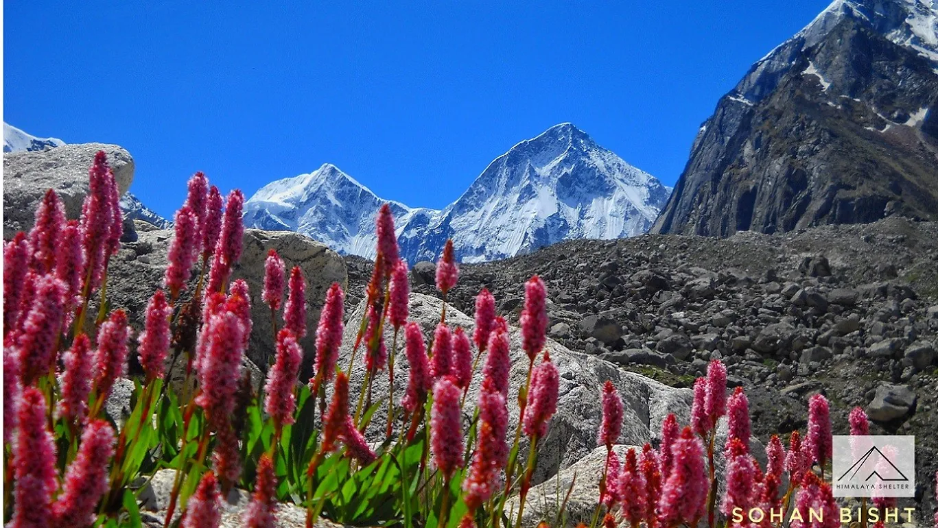 Bagini Glacier Trek trek in the Himalayas by Himalaya Shelter