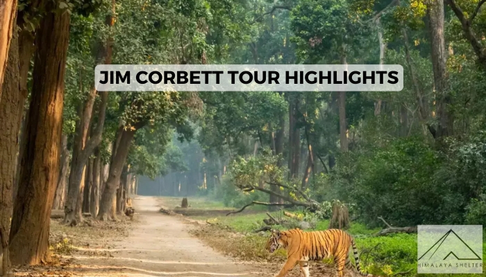 Jim Corbett Tour Highlights