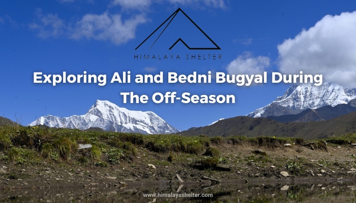 Exploring Ali and Bedni Bugyal During the Off Season