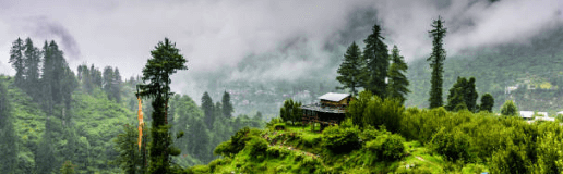 Sankri Tour in Uttarakhand