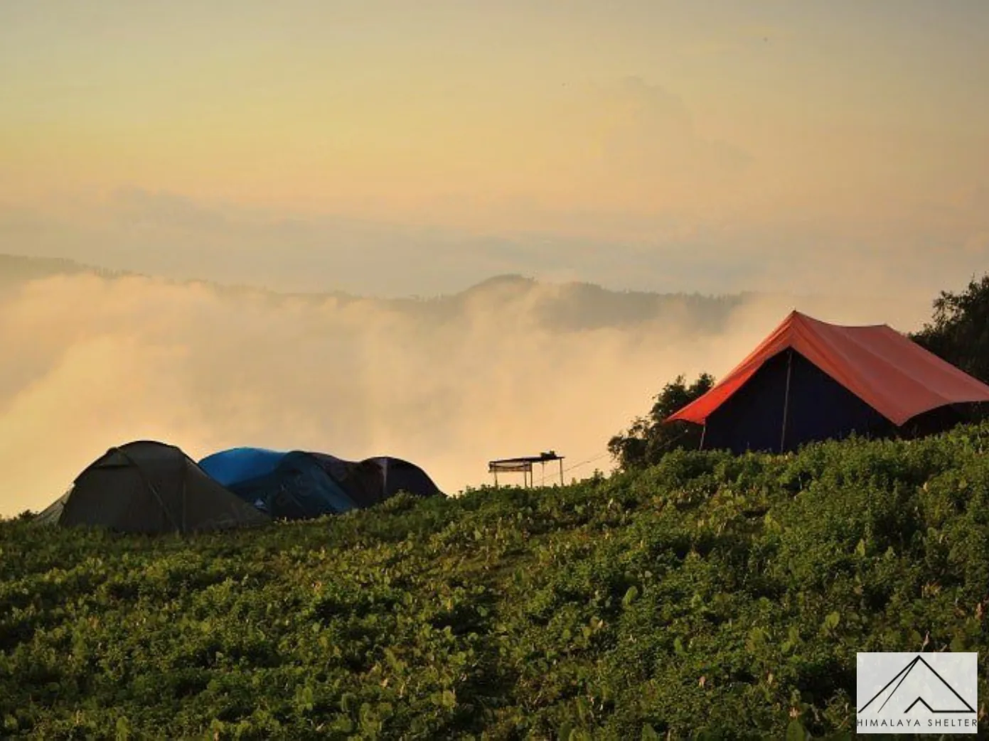 Nag tibba trek