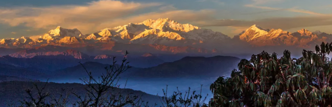 Yambong Singalila Trek