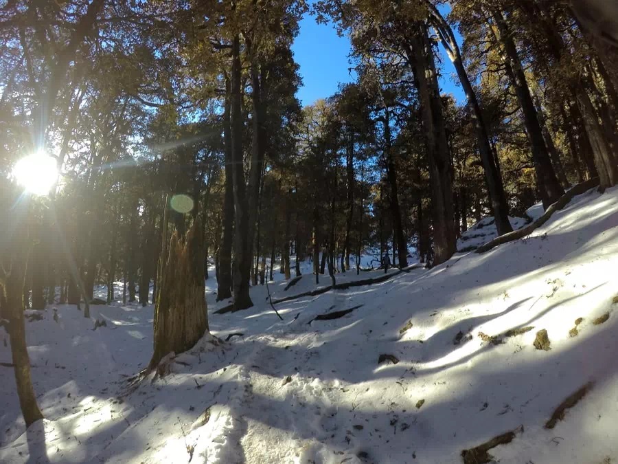 Kuari Pass Trek Exploring the horizon