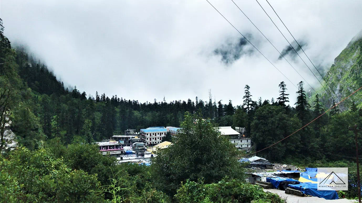 Gallery photo - Valley Of Flowers Trek 3