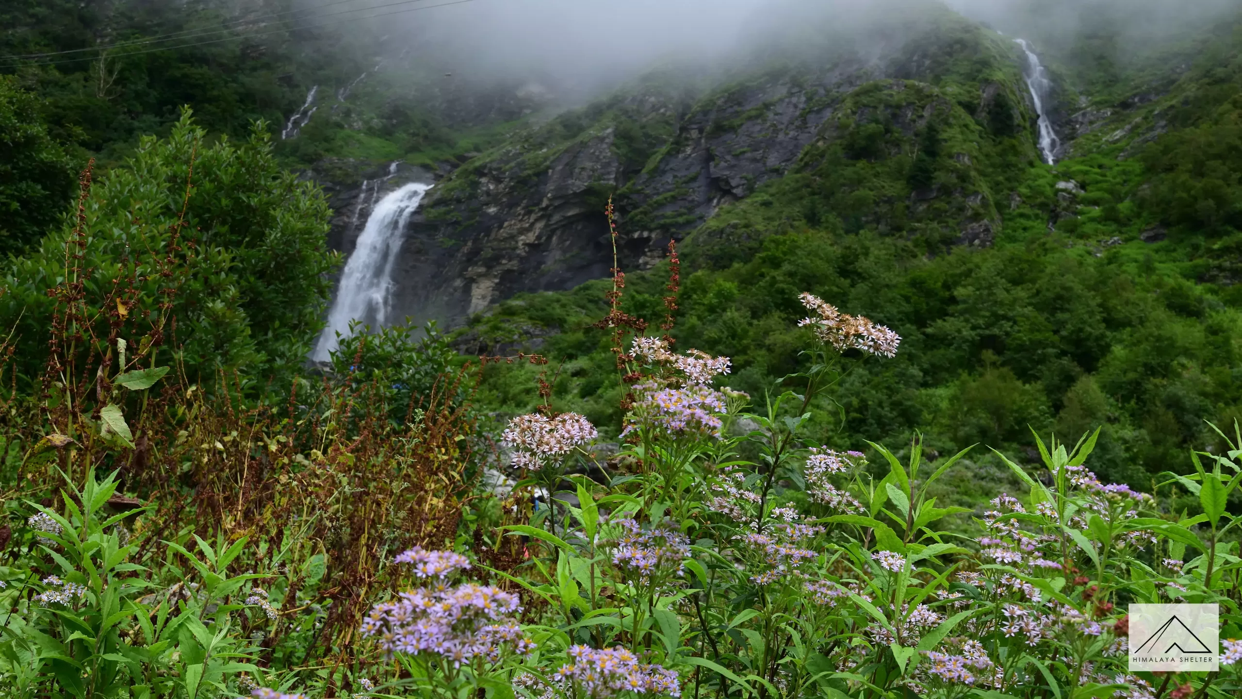 Valley of flowers trek
