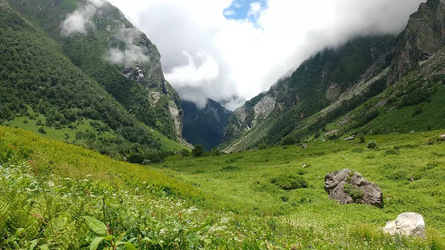 Gallery photo - Valley Of Flowers Trek 6