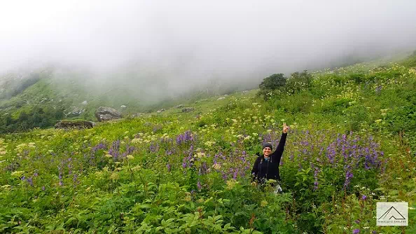 Gallery photo - Valley Of Flowers Trek 7