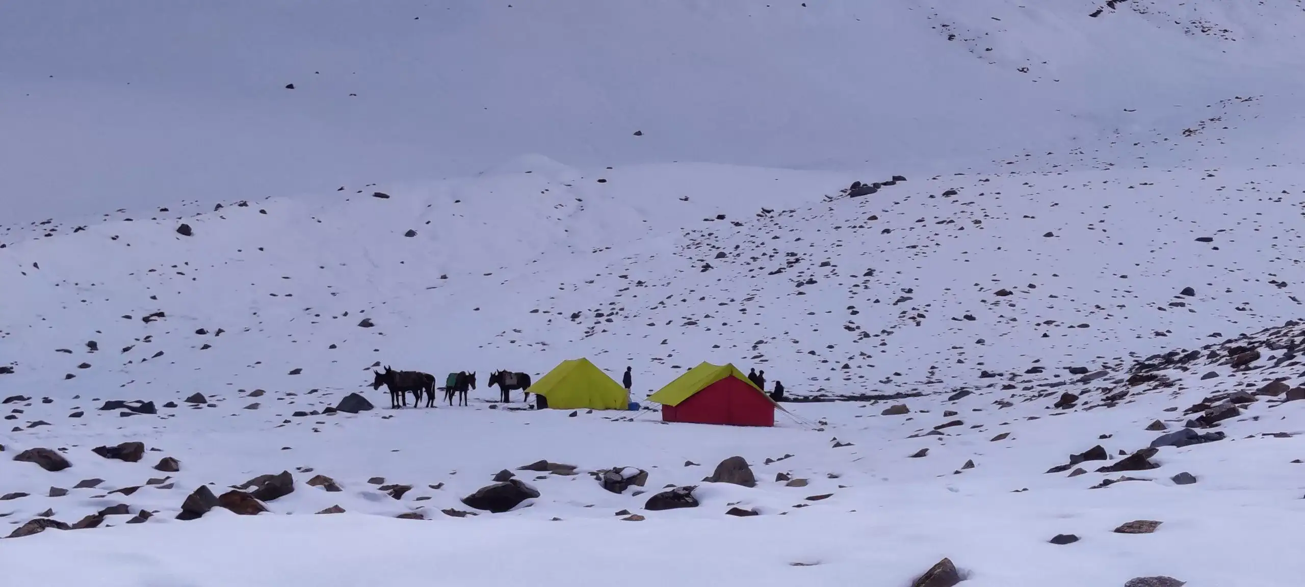 Gallery photo - Bali Pass Trek 4