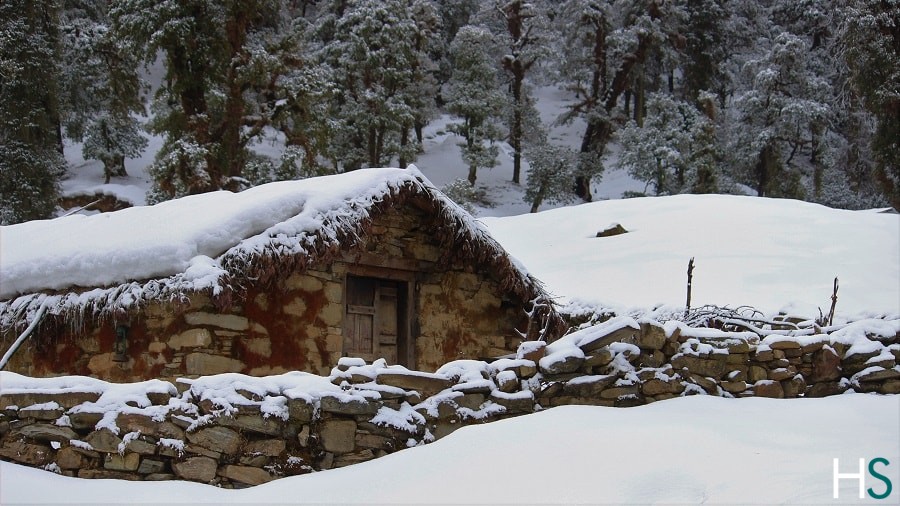 Gallery photo - Chopta Chandrashila Trek 4