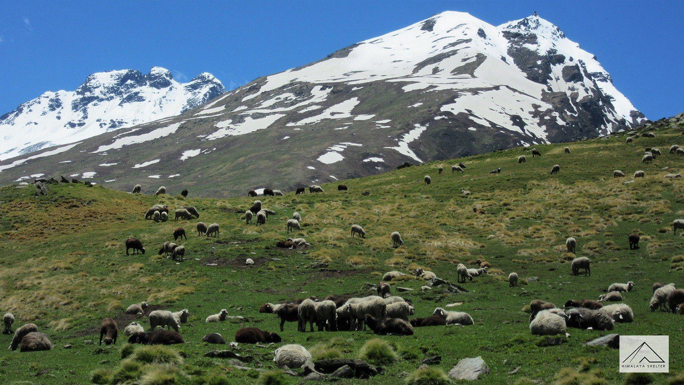 Gallery photo - Rupin Pass Trek Himachal 5