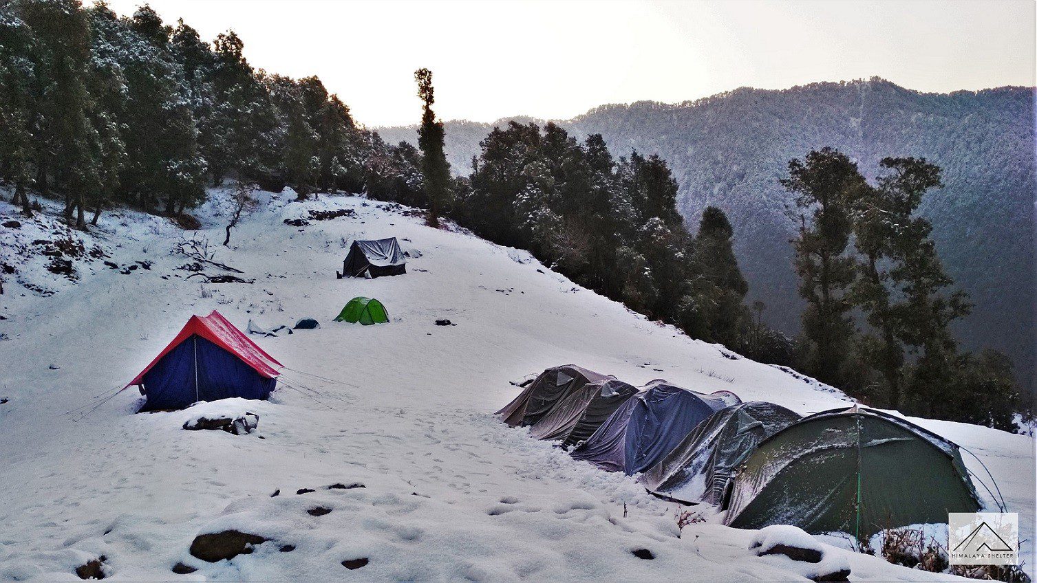 https://himalayashelter.com/trek/nag-tibba-trek/