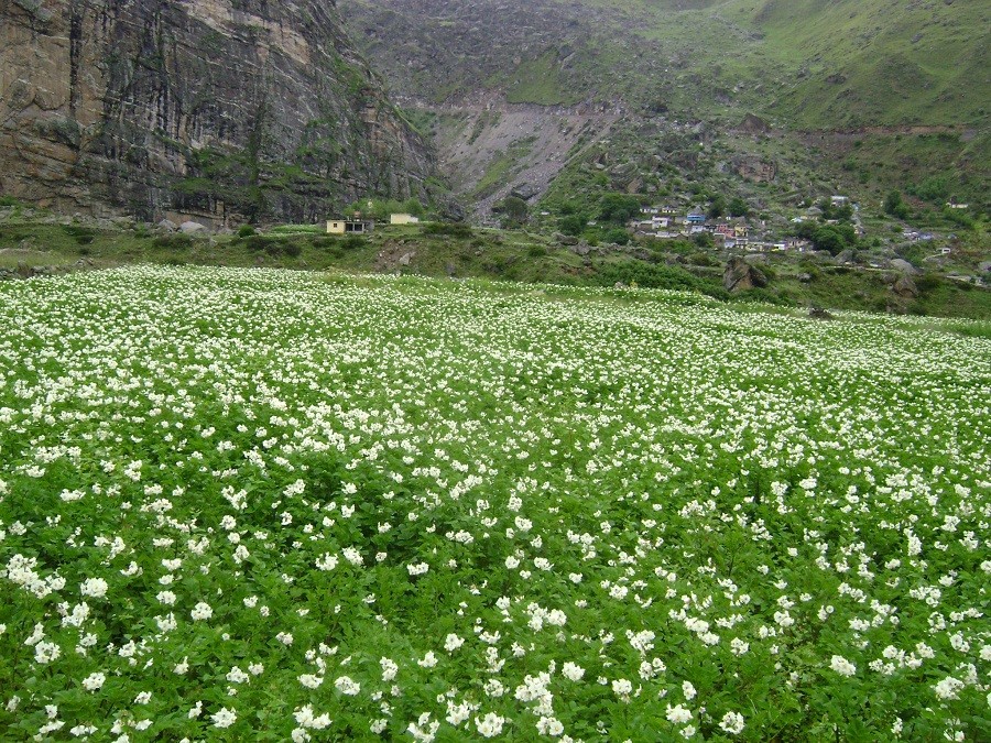 Gallery photo - Satopanth Lake Trek 5