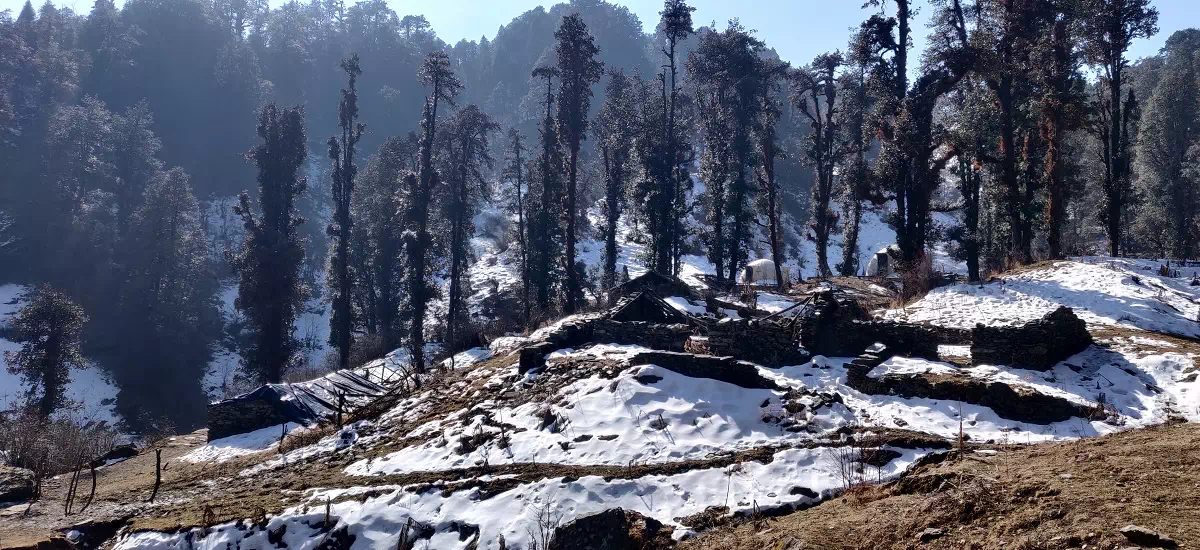 Gallery photo - Dayara Bugyal Trek 2