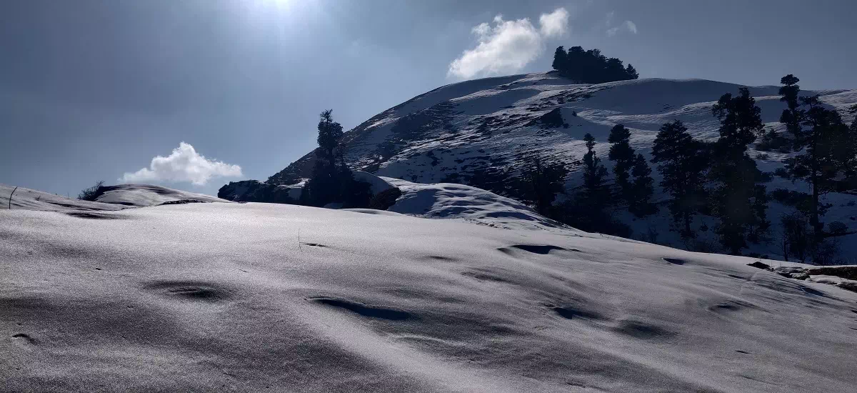 Gallery photo - Dayara Bugyal Trek 3