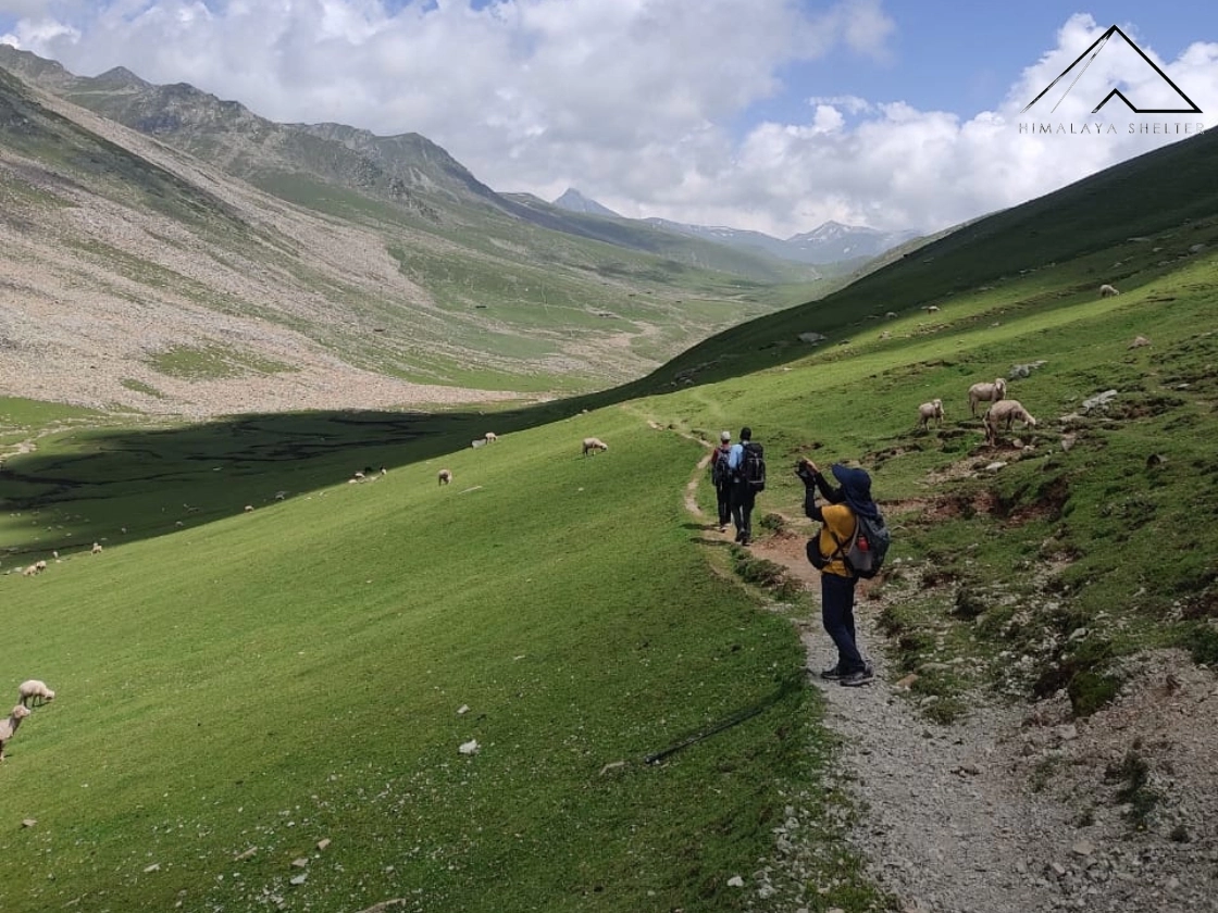 Gallery photo - Pir Panjal Lakes Trek 10