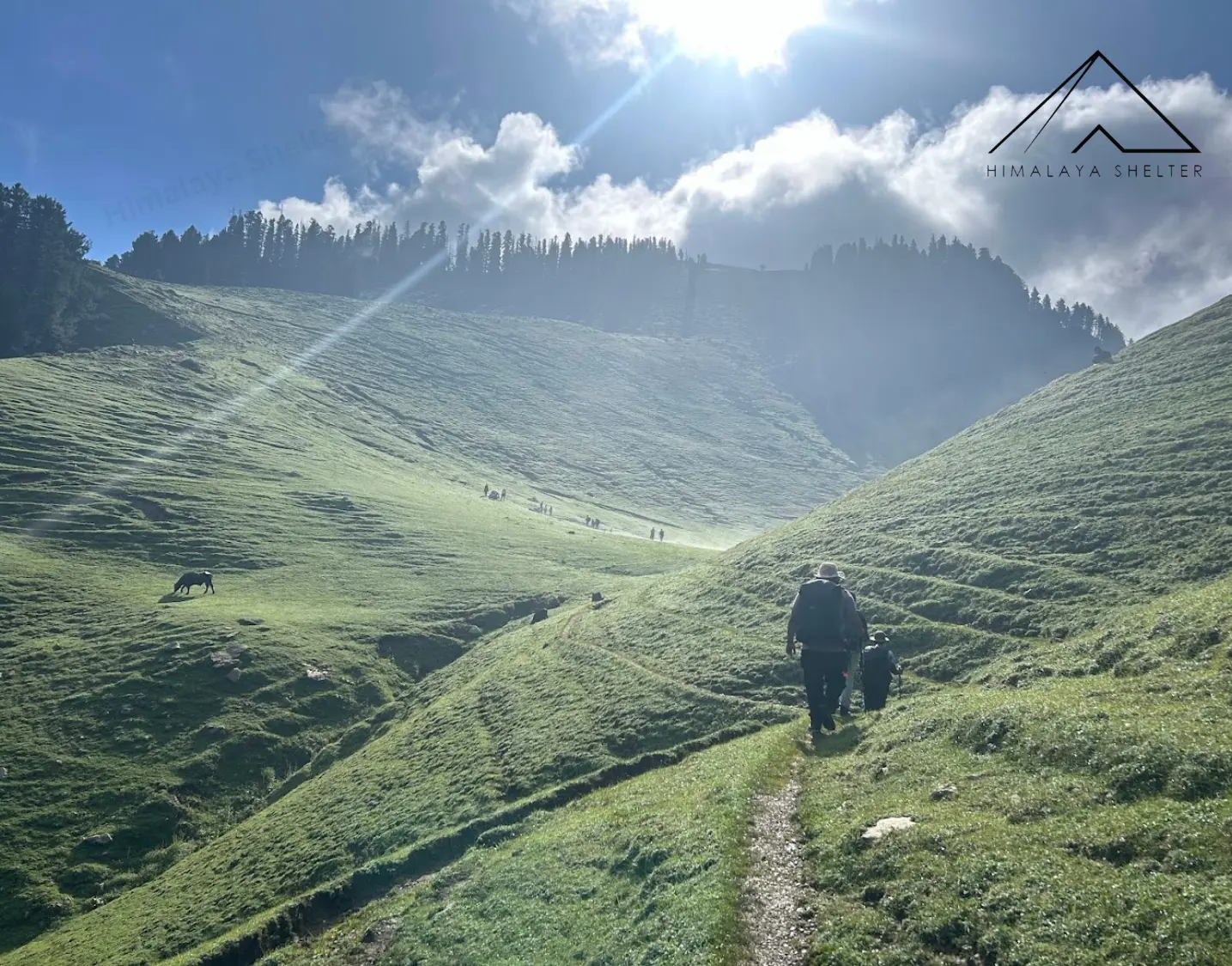 Gallery photo - Silent Meadows Trek 1