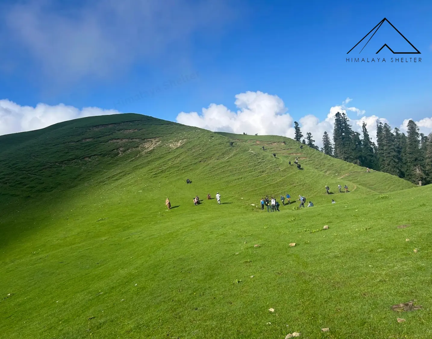 Gallery photo - Silent Meadows Trek 9