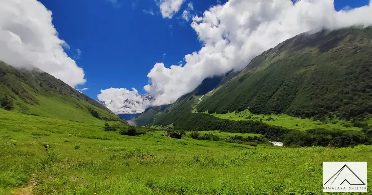 Valley of flowers trek
