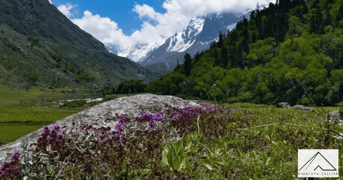 A Comprehensive Guide to the Har Ki Dun Ruinsara Trek to Explore the Hidden Gems