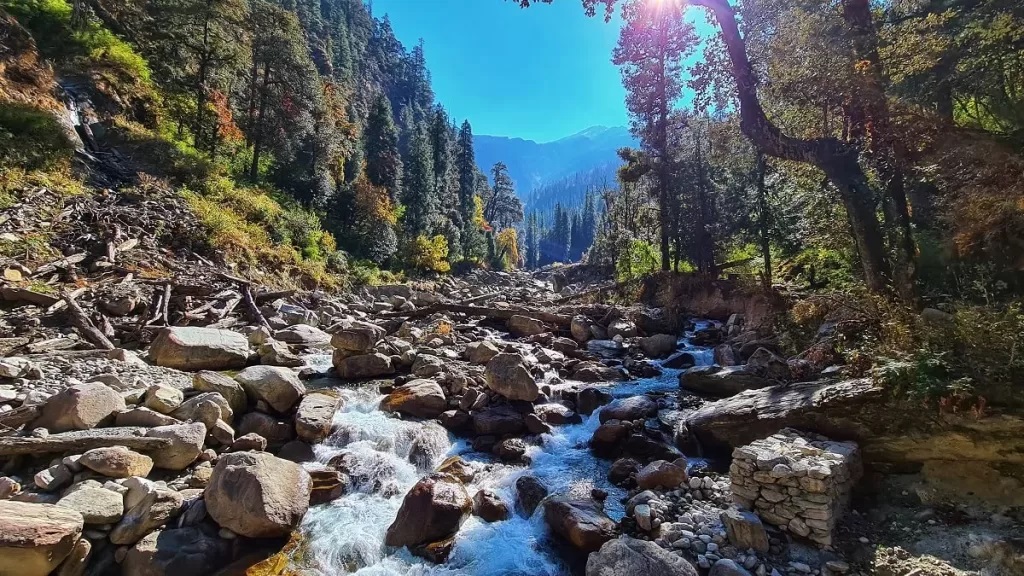 Govind Pashu Vihar Park hosts unique treks like Phulara Ridge.