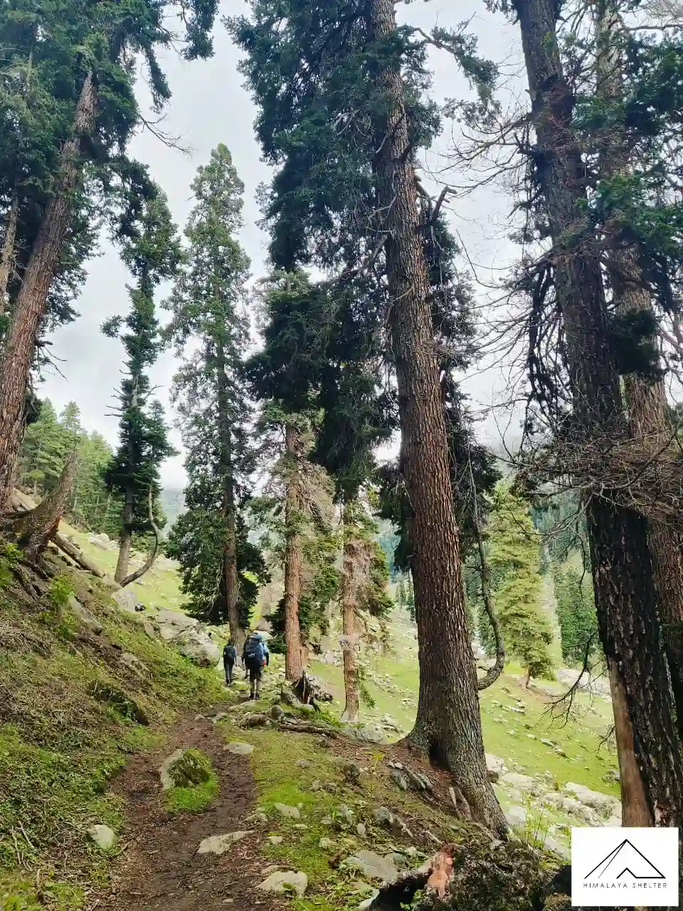 Gallery photo - Tulian Lake Trek 7