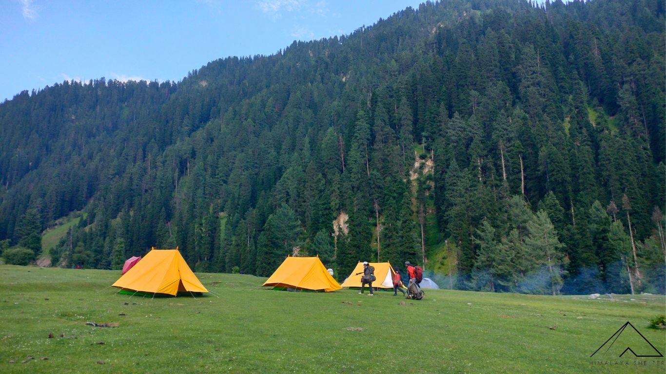 Gallery photo - Sheshnag Lake Trek 5