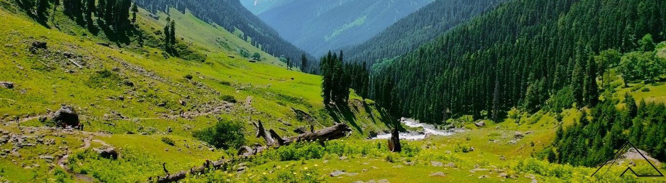 Gallery photo - Sheshnag Lake Trek 8