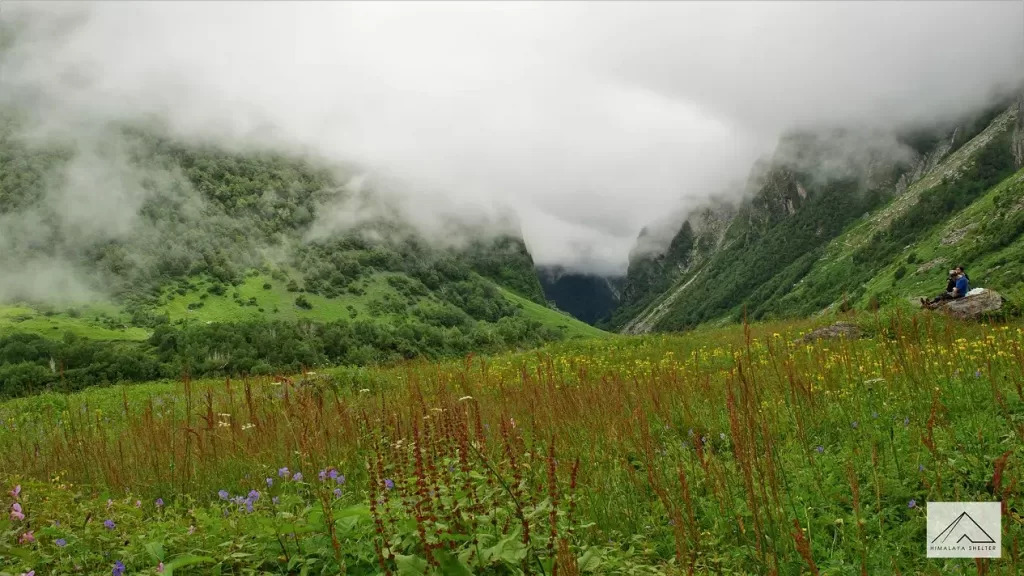 Valley Of Flowers Trek