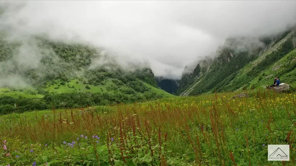Valley Of Flowers Trek trek in the Himalayas by Himalaya Shelter