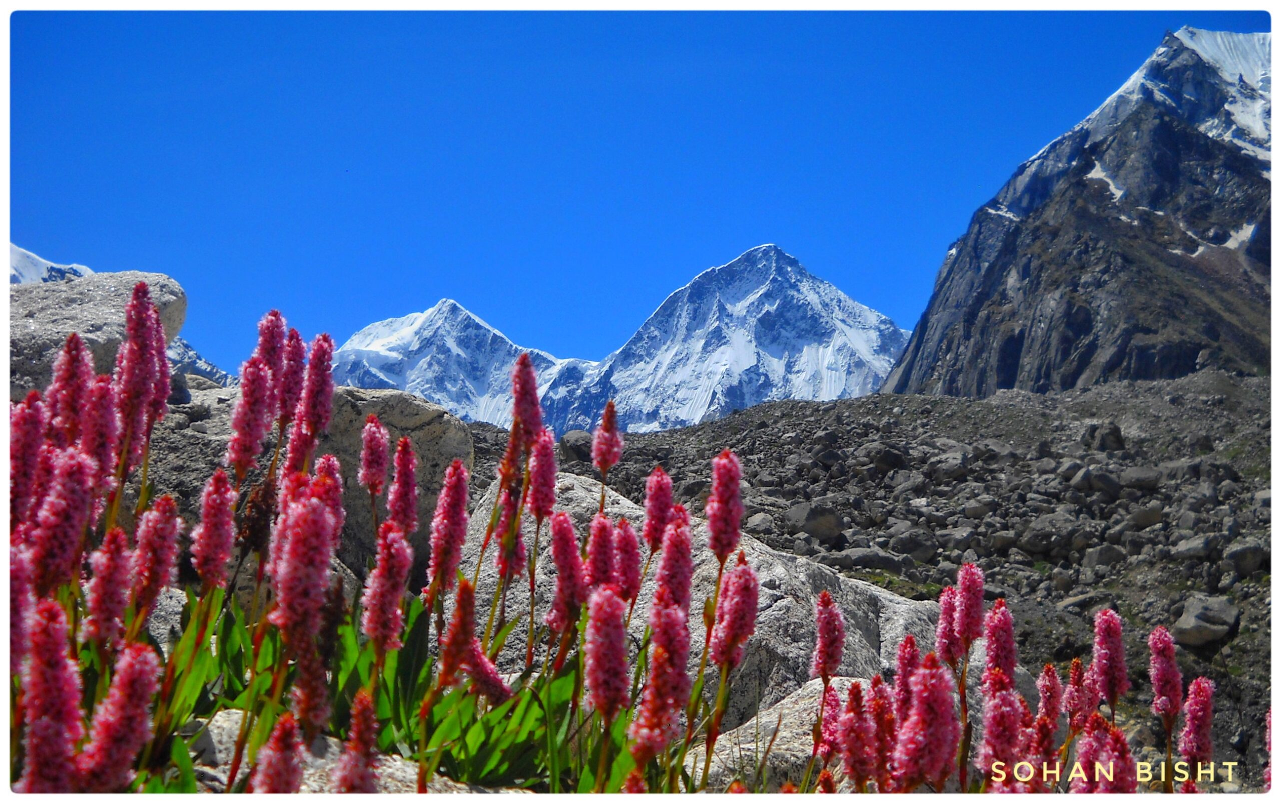 Gallery photo - Chenap Valley Trek 1