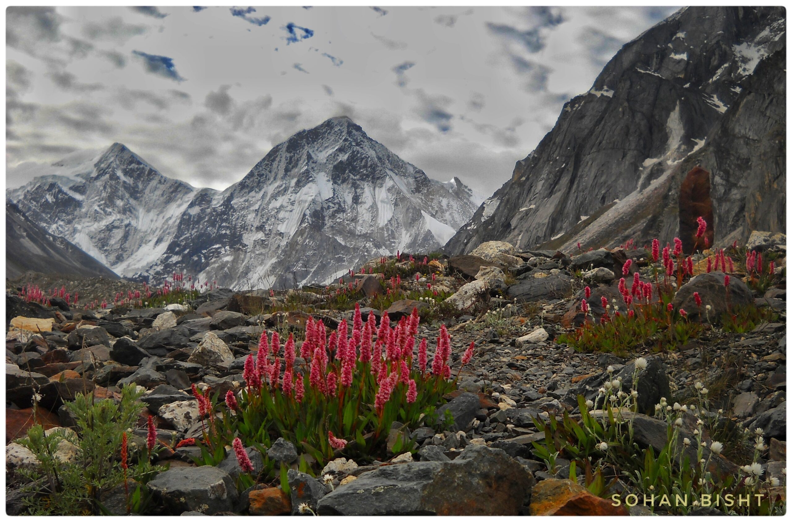 Gallery photo - Chenap Valley Trek 2