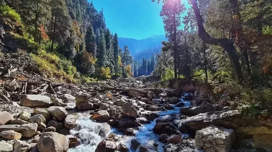 Gallery photo - Saru Tal Trek 10