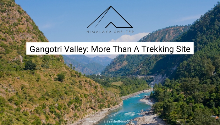 Gangotri Valley