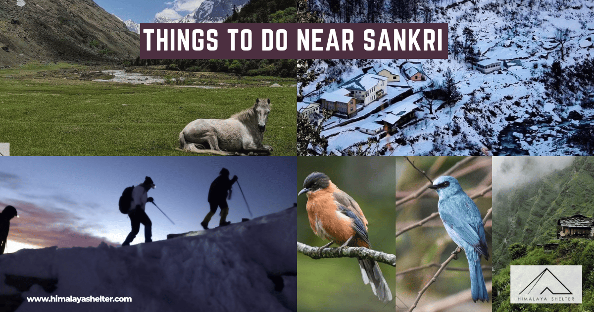 Things To Do Near At Sankri