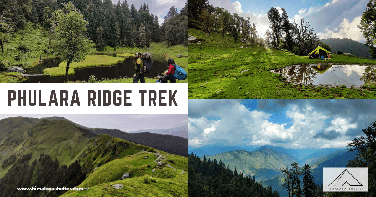 Phulara Ridge Trek Sankri