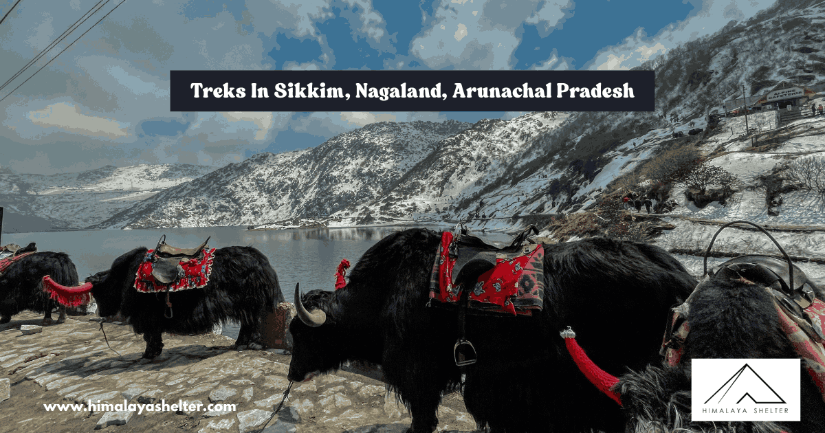 Treks In Sikkim NagalandArunachal Pradesh