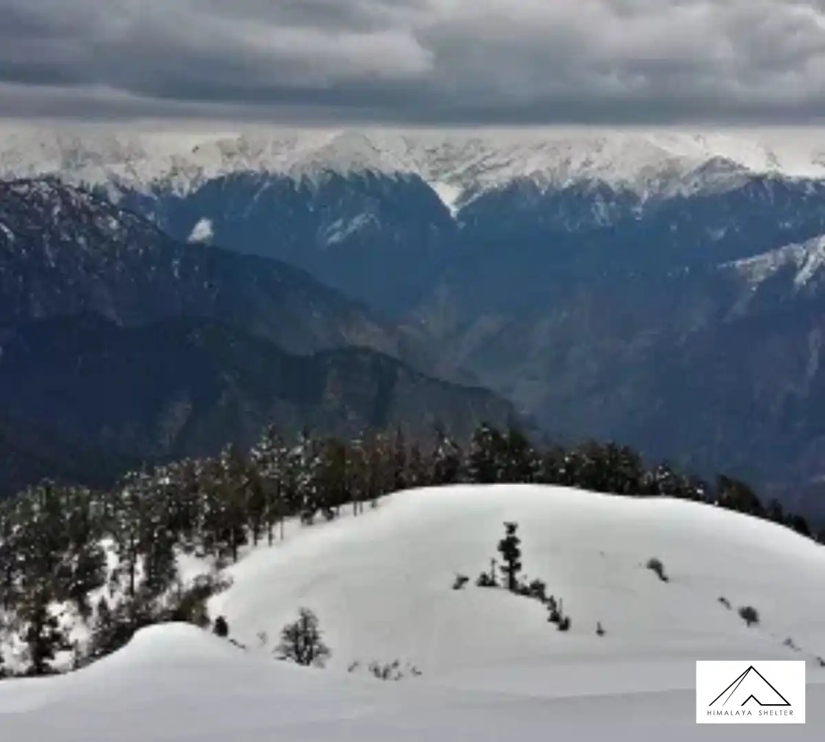 Gallery photo - Dayara Gidara Bugyal Trek 3