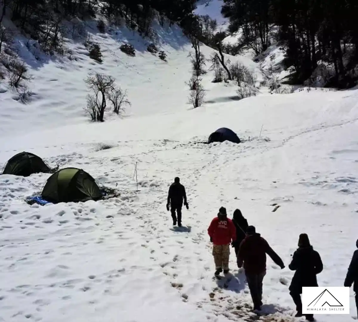 Gallery photo - Dayara Gidara Bugyal Trek 7