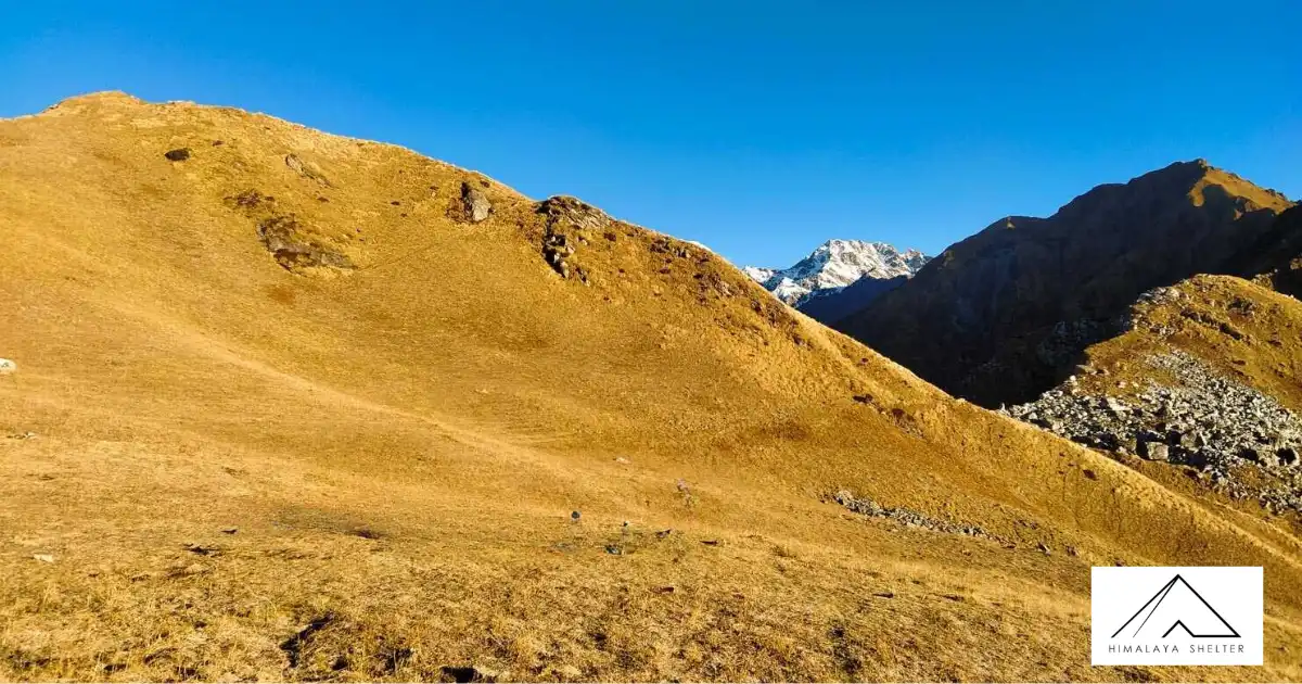 Sunny Weather At Gidara Bugyal