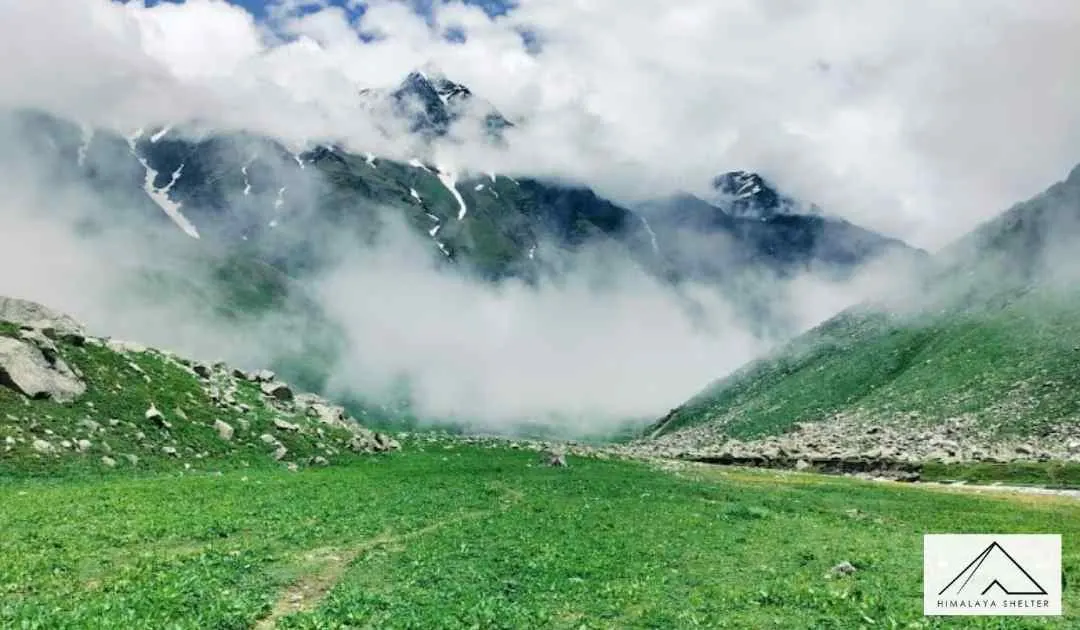 Forest and grasslands in Pin Bhaba Pass.