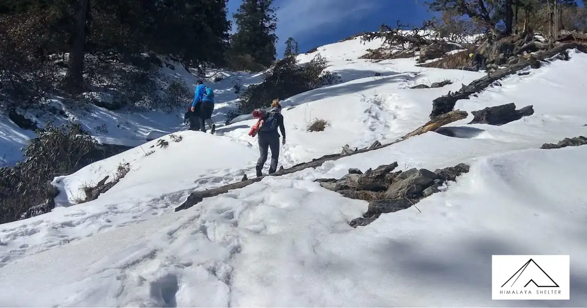 Trekkers On Snowy Trail At Pangarchulla Trek