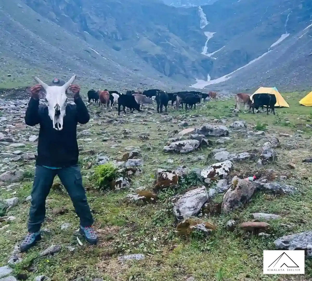 Gallery photo - Rupin Pass Trek 6