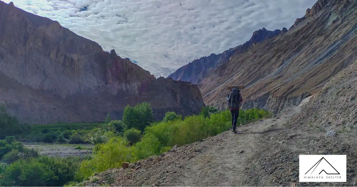 Trekker On The Trail At Markha Valley