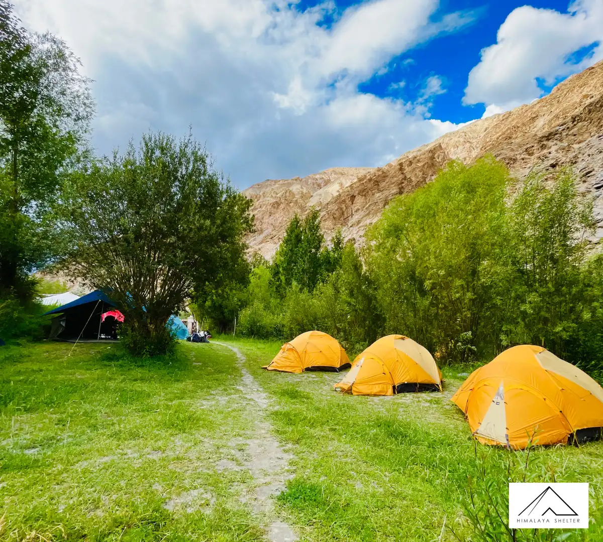 Gallery photo - Markha Valley Trek 2