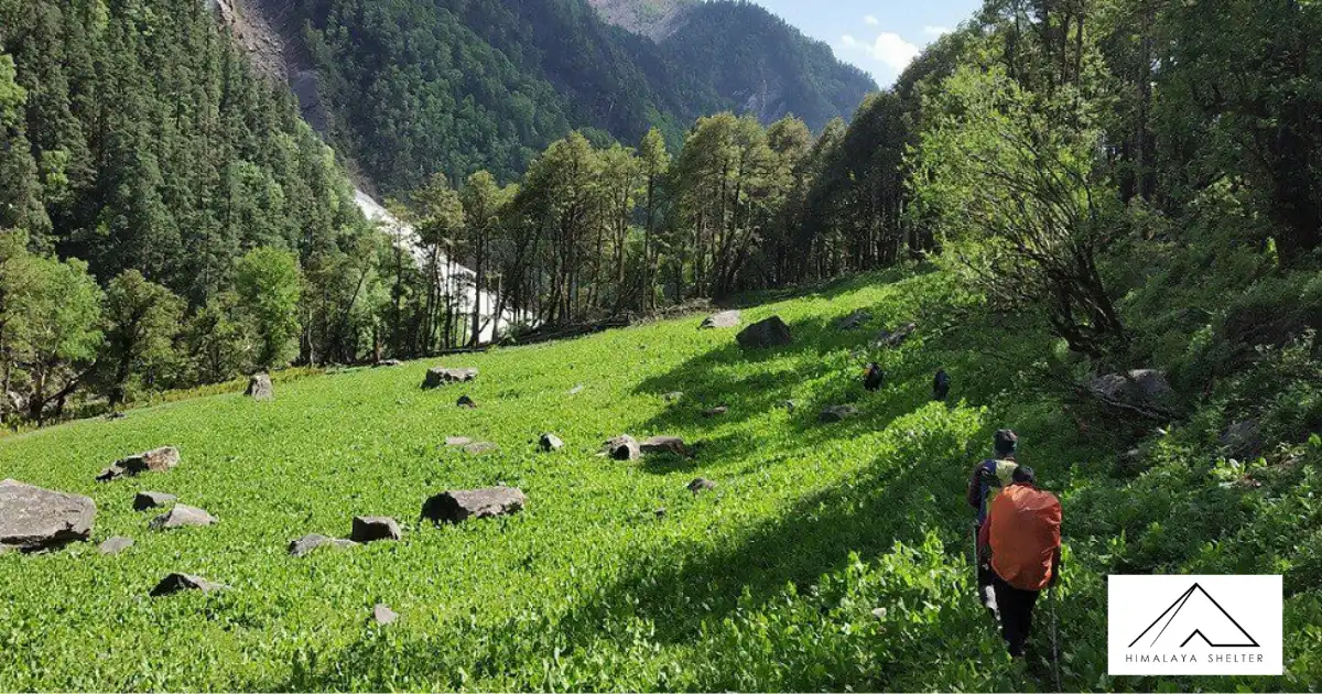 Trail Leading To Borasu Pass